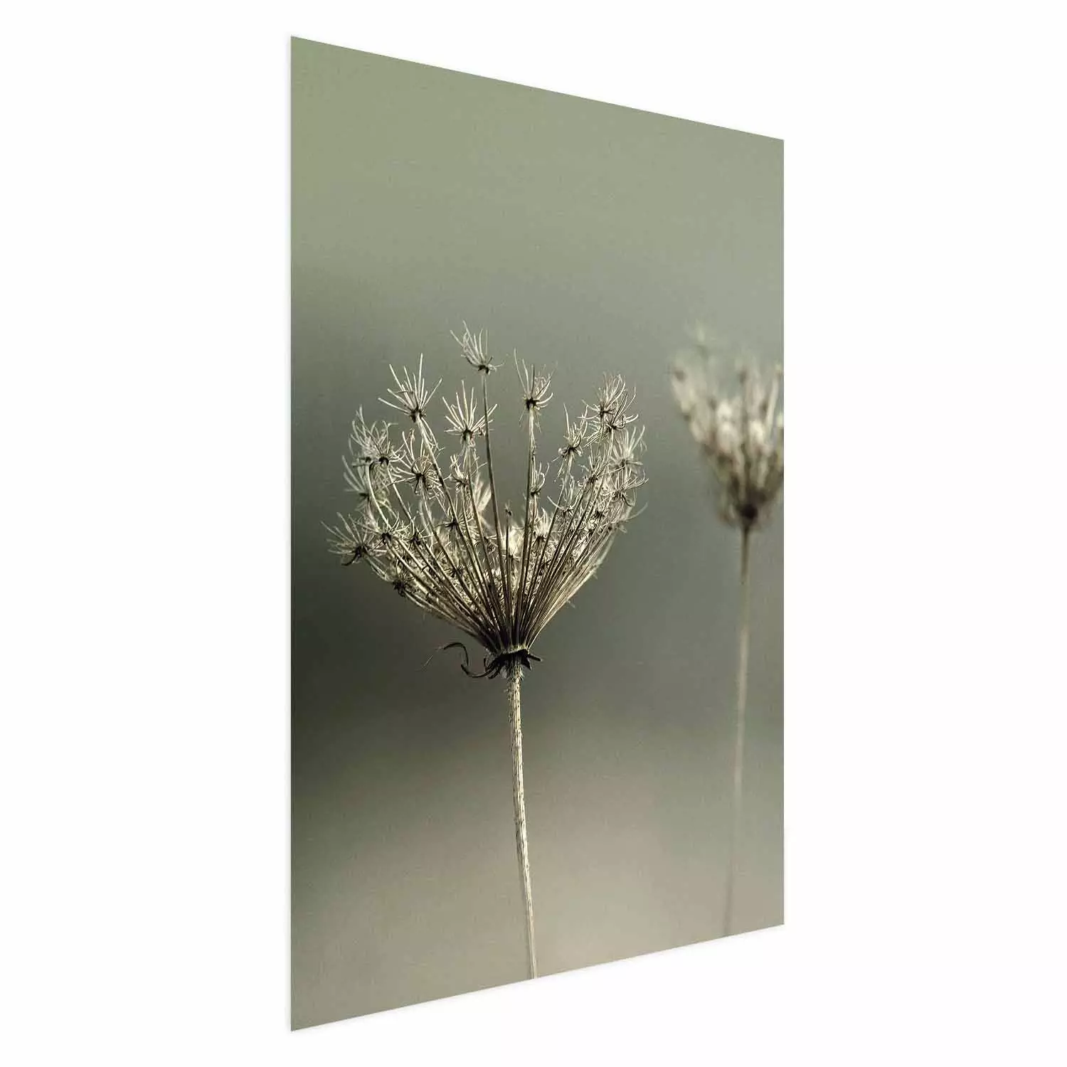 Wall Poster Longing for Summer Past - summer plant against a blurred green background