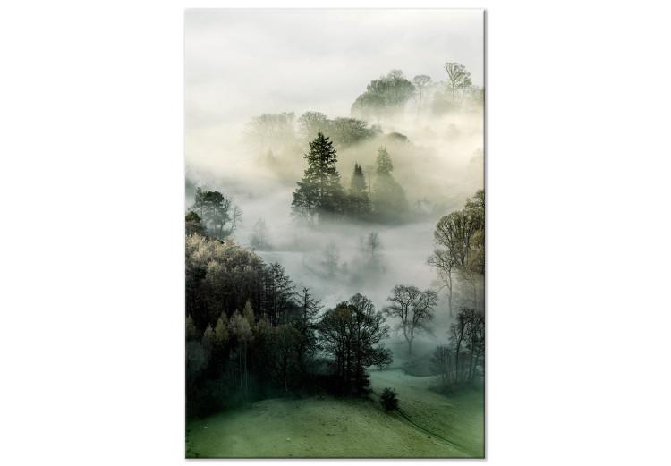 Canvas Morning Chill (1-piece) Vertical - landscape of misty forest scenery
