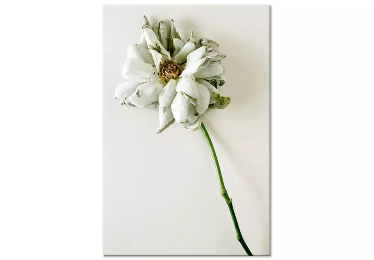 Canvas Dried Memory (1-piece) Vertical - flower on white background