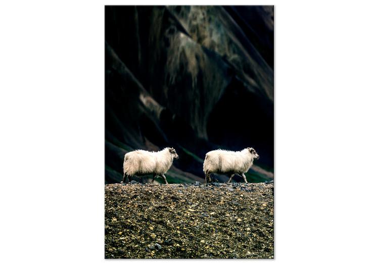 Canvas Follow Me! (1-piece) Vertical - photograph of two white animals