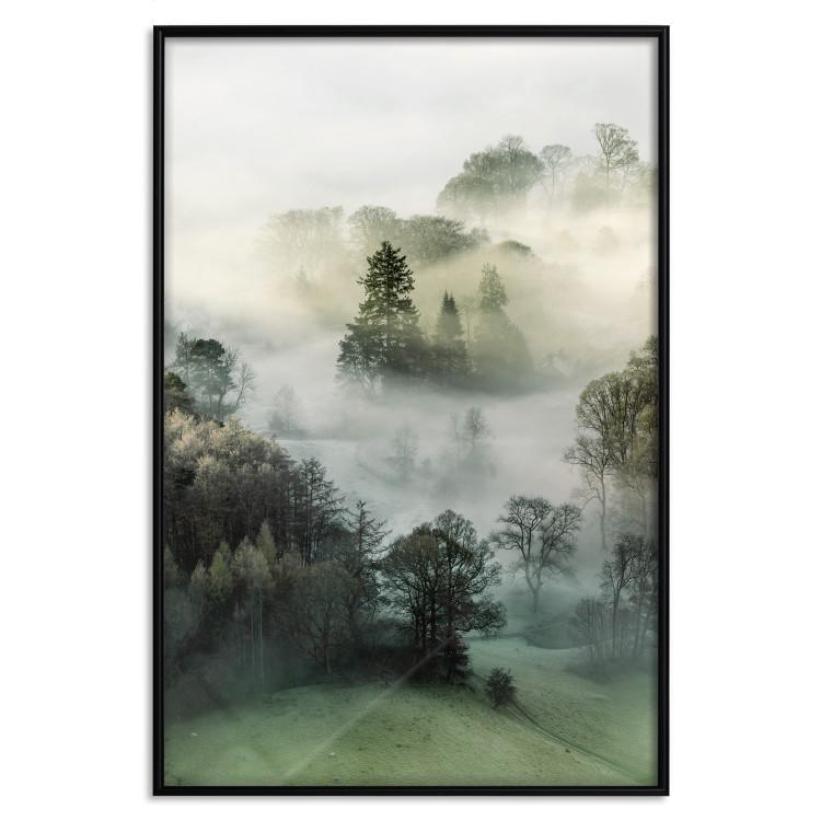 Poster Morning Chill - landscape of trees surrounded by dense fog against the sky