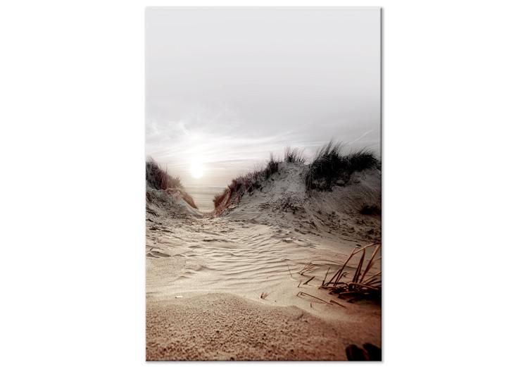 Canvas Path Through Dunes (1-piece) Vertical - beach landscape with sea backdrop
