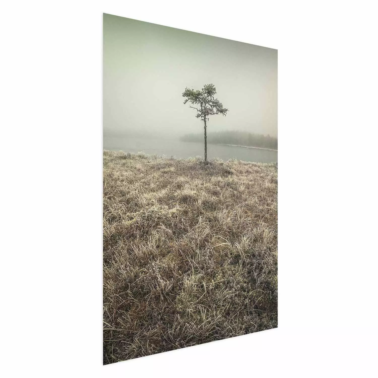 Poster Along the Lake Shore - landscape of grass and a small tree against the water