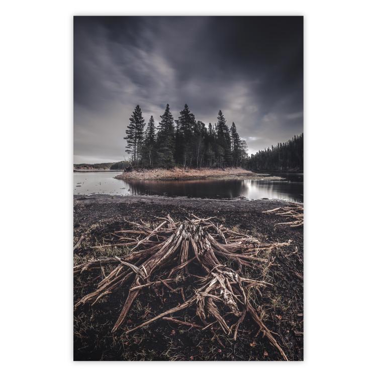 Poster Wooded Island - dark forest landscape and a small lake against the sky
