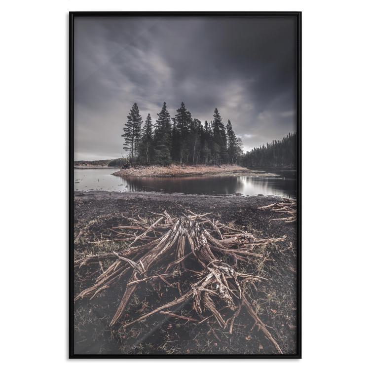 Poster Wooded Island - dark forest landscape and a small lake against the sky