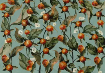 Wall Mural Orange grove - plant motif with fruit and leaves on a blue background Wallpaper Cropper