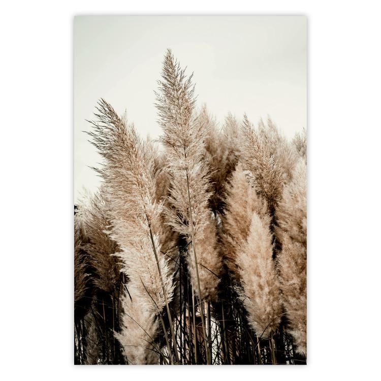 Poster Plume of Dreams - golden autumn trees on a uniform light background