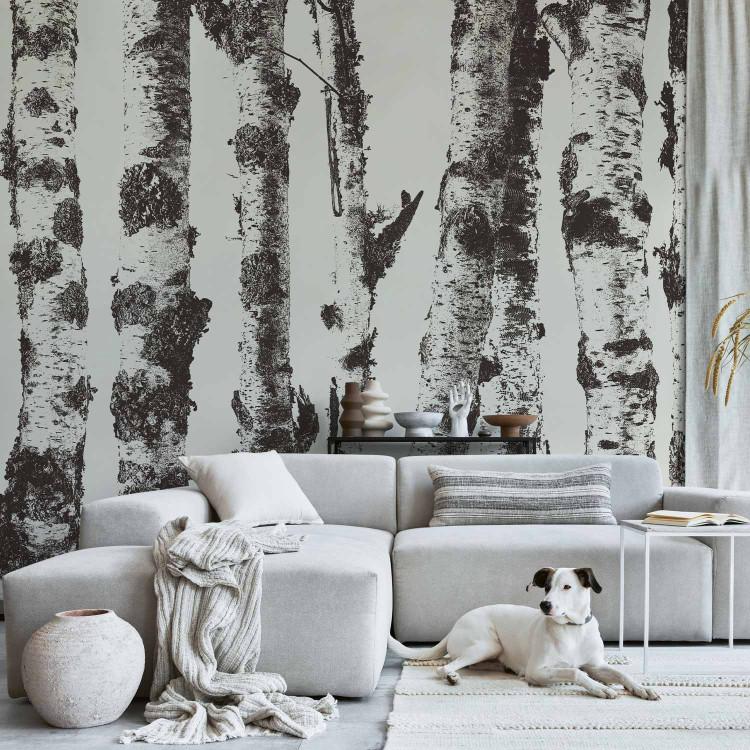 Wall Mural Stately Birches - First Variant