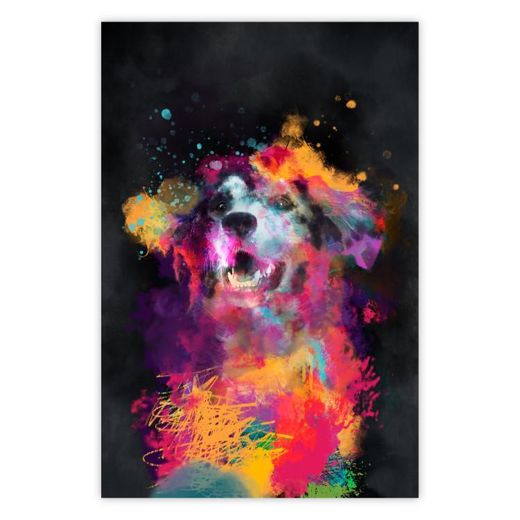Poster Doggy Joy - multicolored dog in watercolor motif on a black background