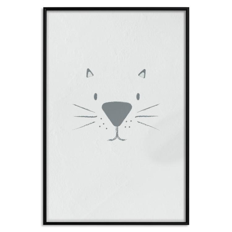 Poster Kitty Face - animal with a funny face on a solid gray background