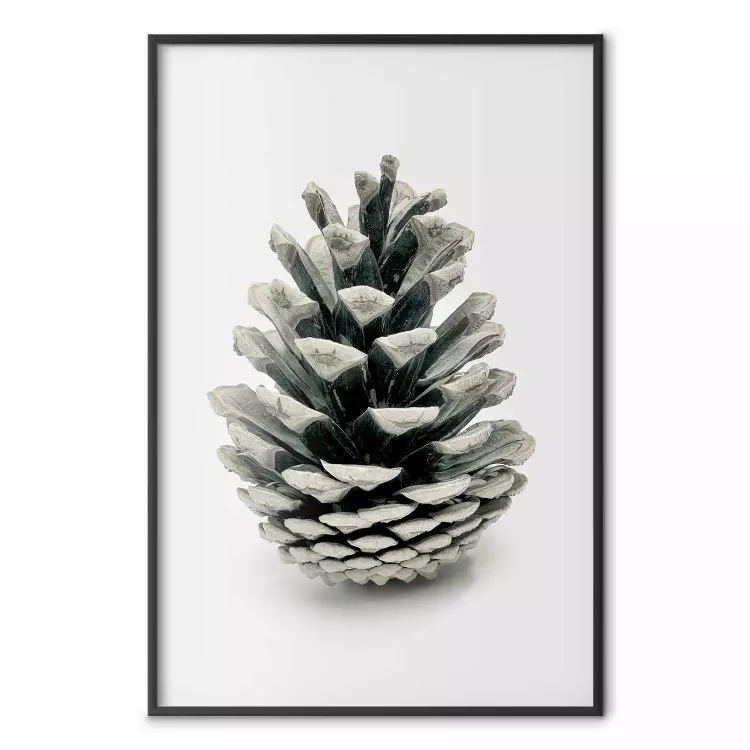 Open Nature - composition of a forest cone on a solid gray background