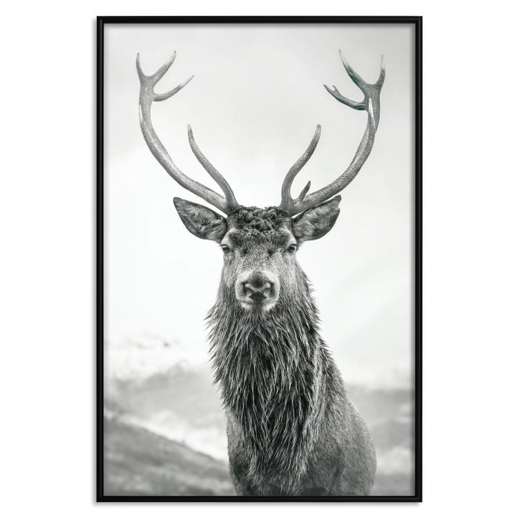 Poster Lord of Autumn - black and white portrait of a deer against a background of sky and nature