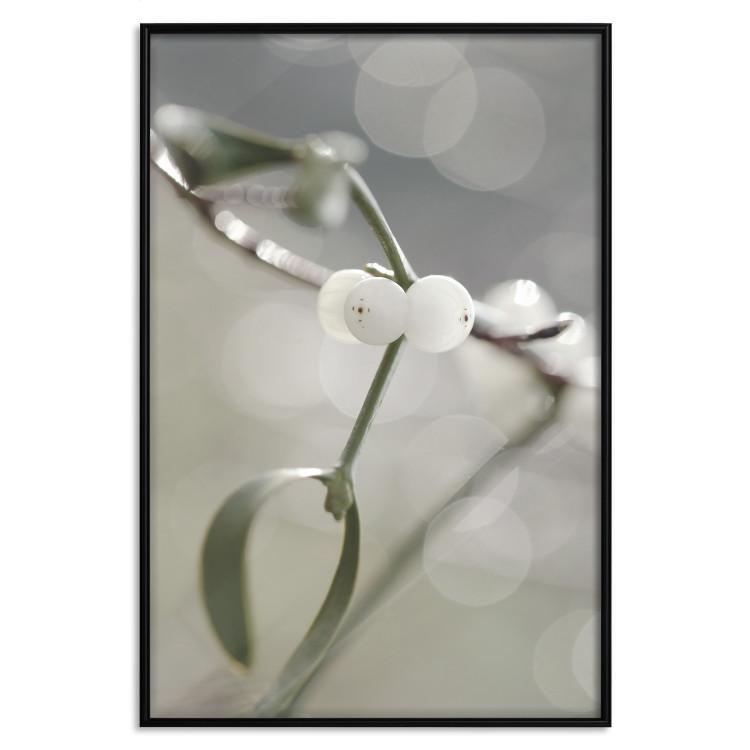 Poster Purity of Mist - composition of a plant with white flowers on a nature background