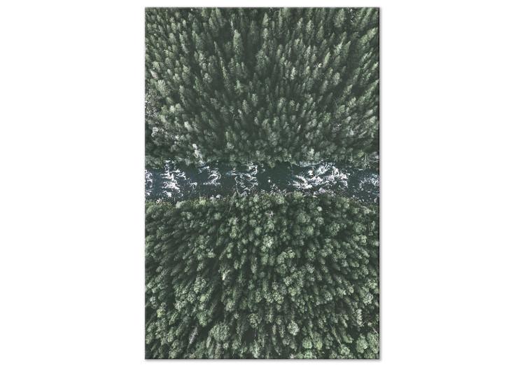 Canvas Forest River (1-piece) Vertical - landscape of forest and river from a bird's eye view