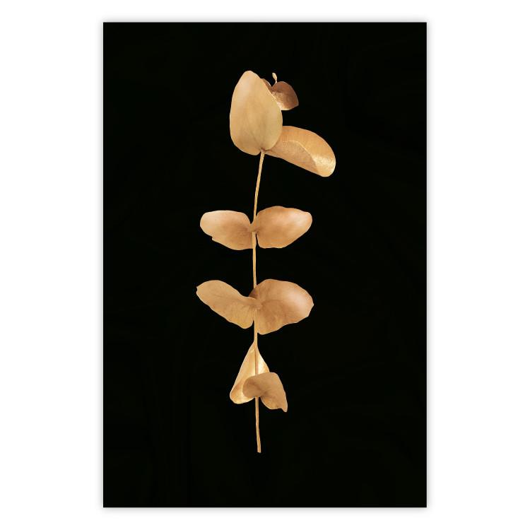 Poster Eternal Plant - golden plant with leaves on a solid black background