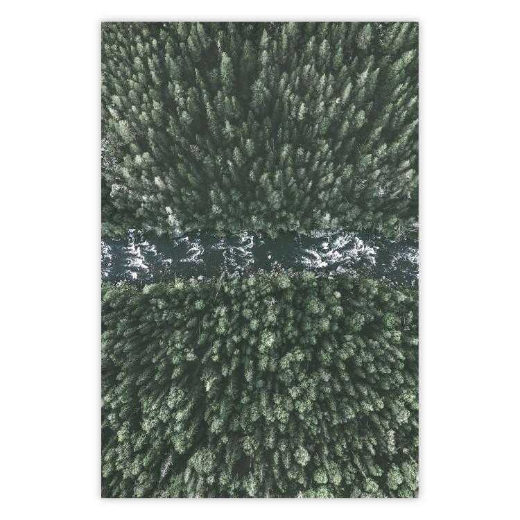 Poster Forest River - a natural landscape of forest and river depicted from a bird's-eye view