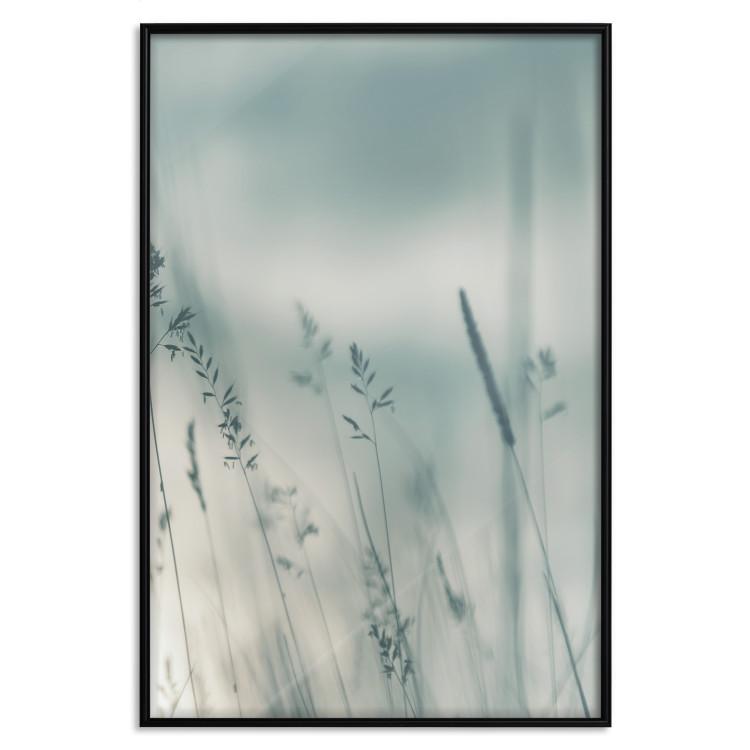 Poster Tall Grass - a landscape of a meadow with tall grass in pastel colors