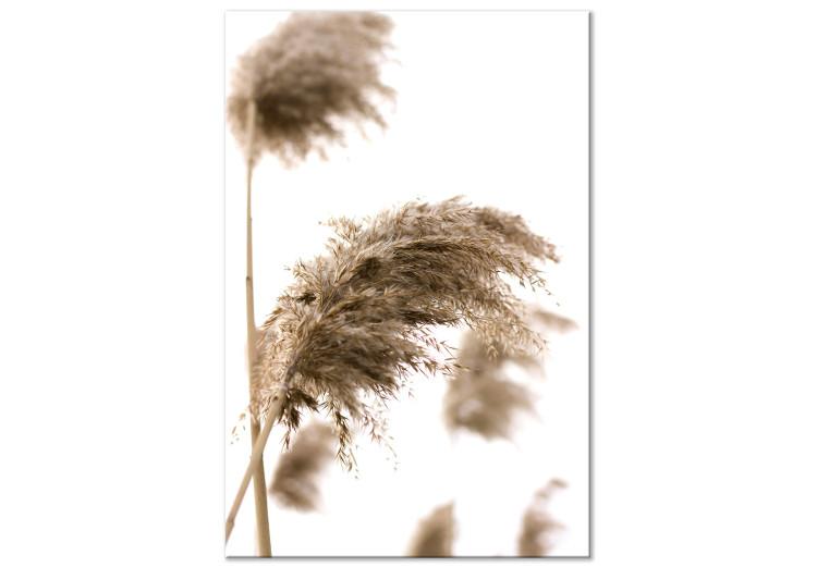 Canvas Dry Wind (1-piece) Vertical - plant landscape in boho motif