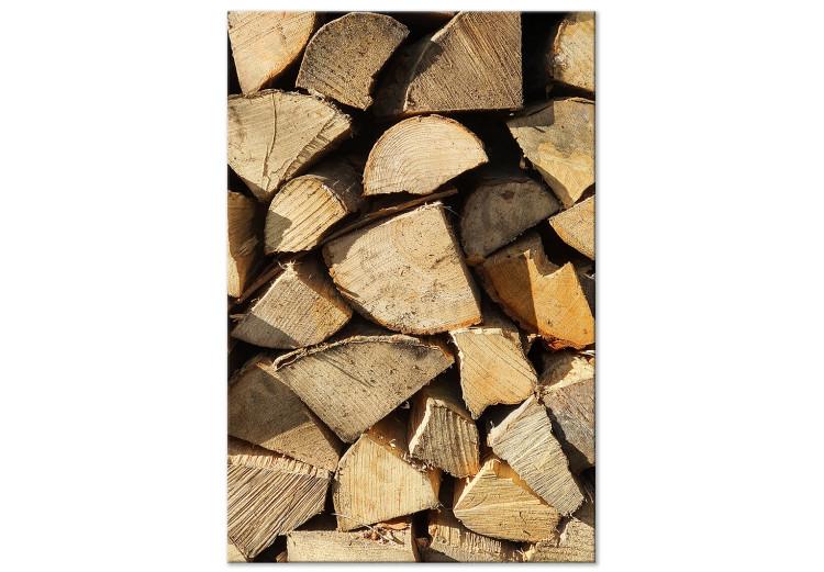 Canvas Beauty of Wood (1-piece) Vertical - landscape of multiple pieces of wood
