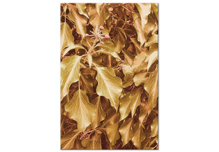 Canvas Autumn leaves on tree - a plant landscape in golden-yellow colours