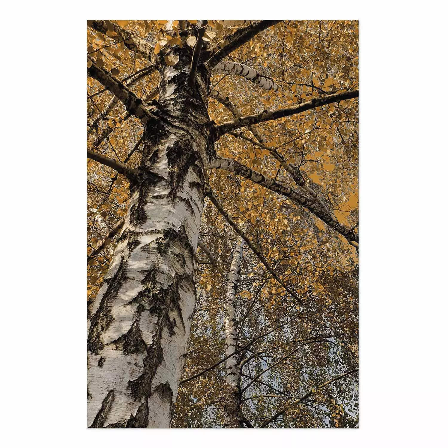 Poster Autumn Palette - autumn landscape of trees with golden leaves