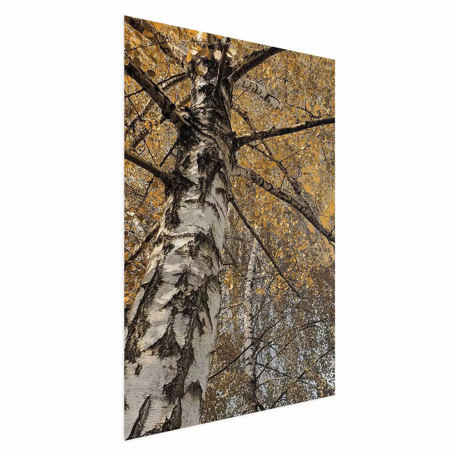 Poster Autumn Palette - autumn landscape of trees with golden leaves