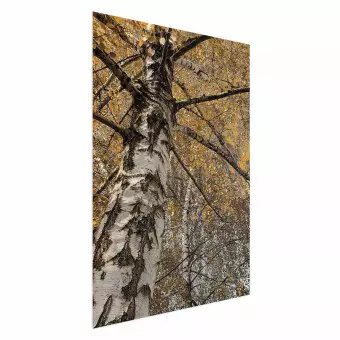 Poster Autumn Palette - autumn landscape of trees with golden leaves