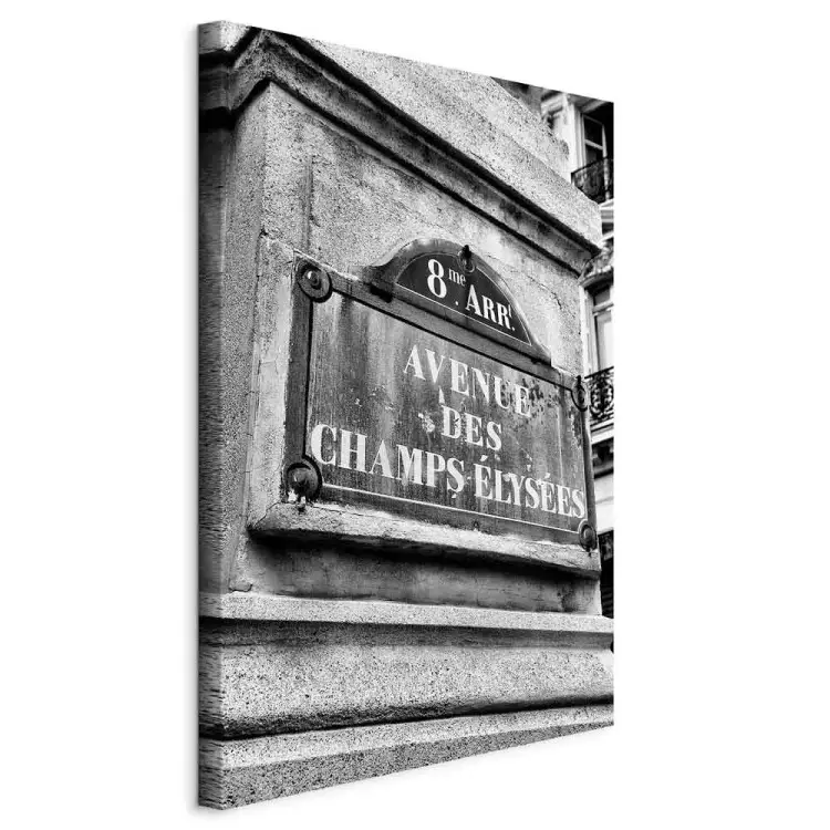 Champs-Elysees Avenue - black and white graphic of famous Paris street
