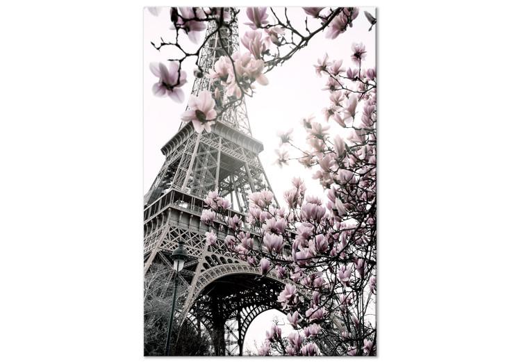 Canvas Magnolias in the Sun of Paris (1-piece) Vertical - spring magnolias