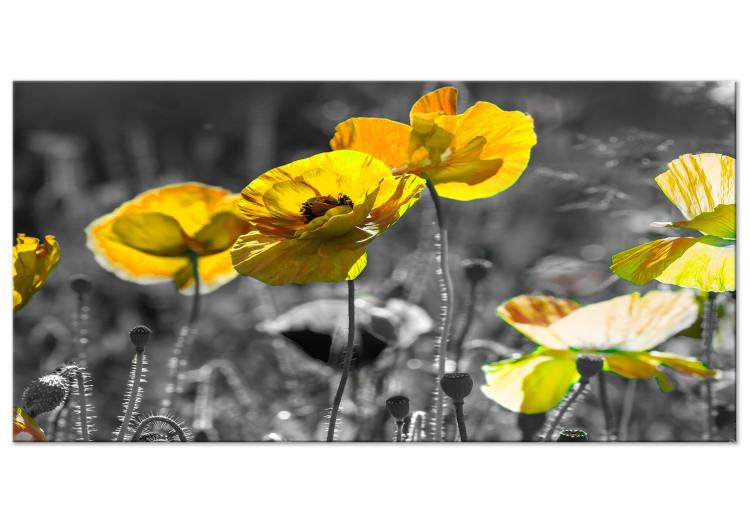 Large canvas print Yellow Poppies II [Large Format]