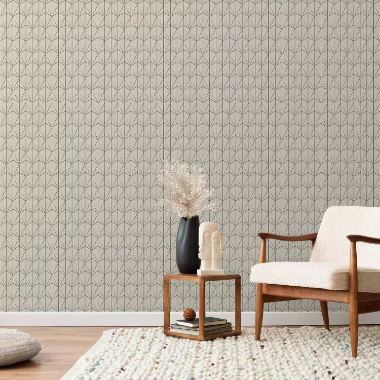 Geometric minimalism