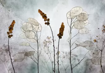 Wall Mural Lunaria in the Meadow Wallpaper Cropper
