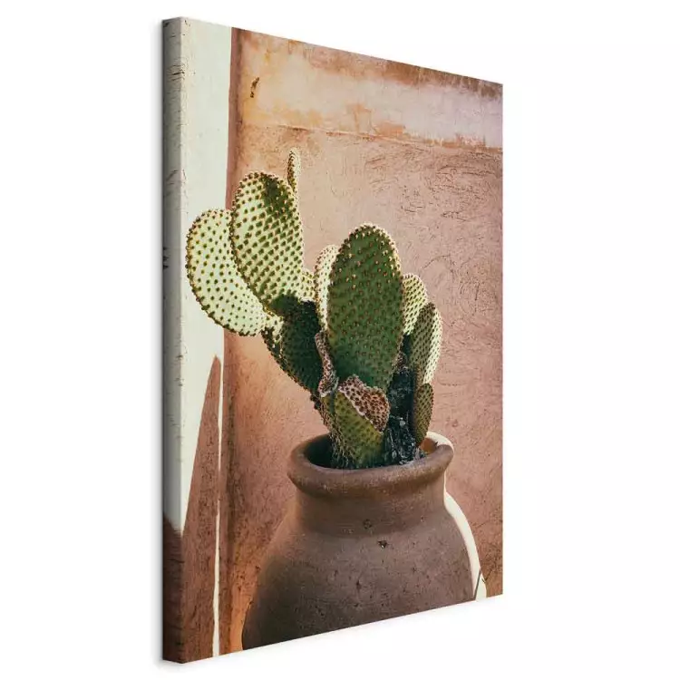 Cactus in a Pot (1-piece) Vertical - green plant in Morocco