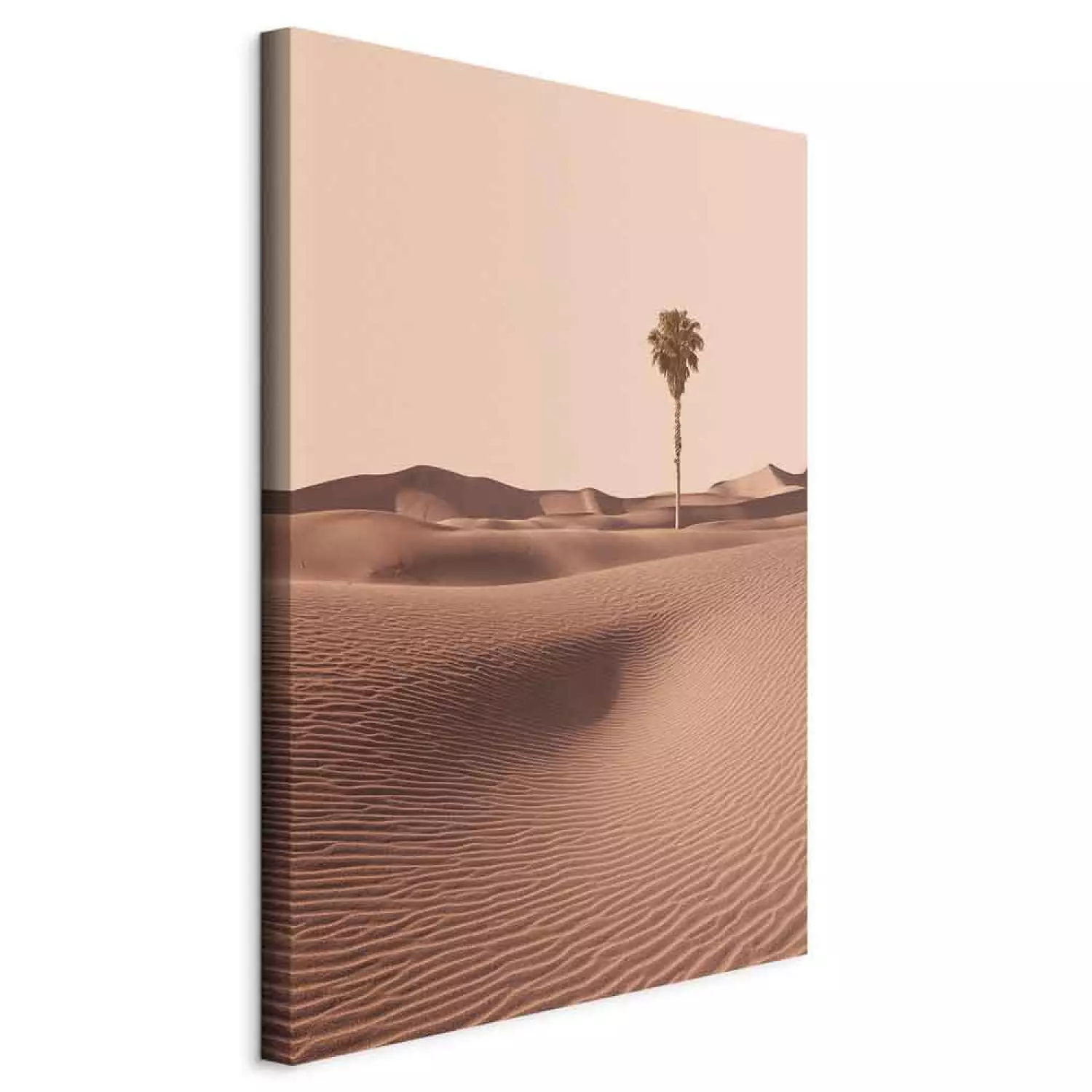 Canvas Art Print Desert Vegetation Vertical - Arab desert in Morocco