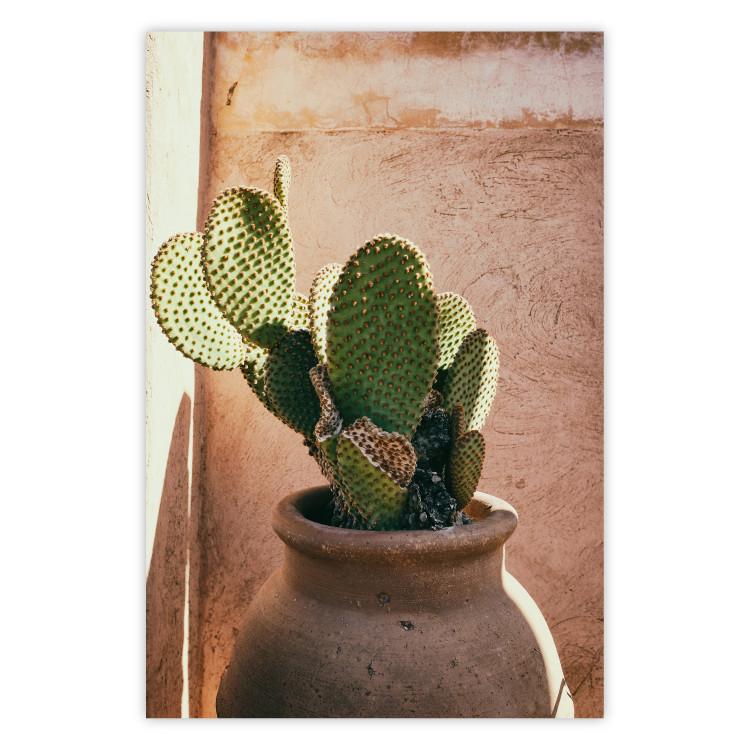 Poster Cactus in a Pot - succulent in a pot against the bright sunlight