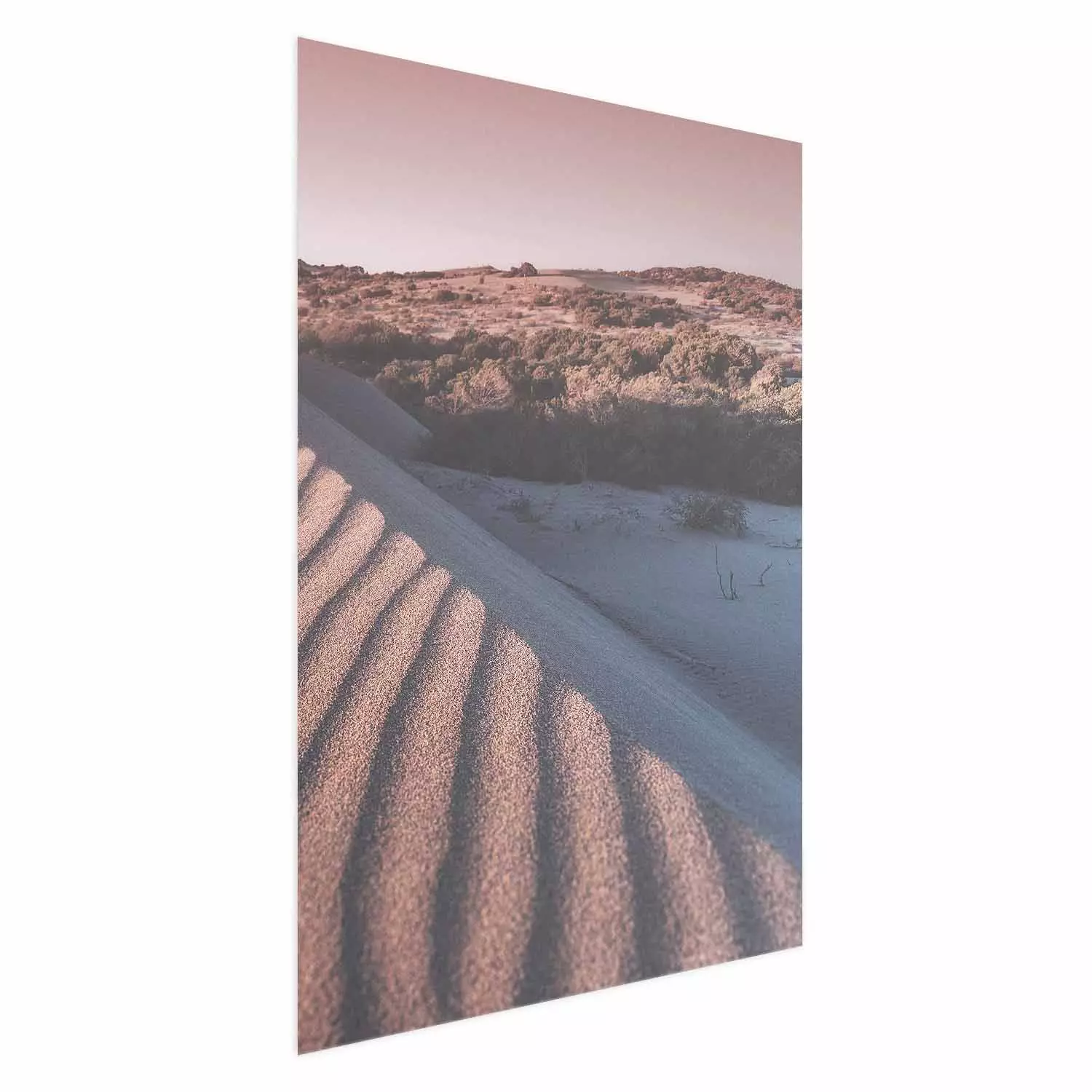 Wall Poster Pink Sands - desert landscape and plants in an orange composition