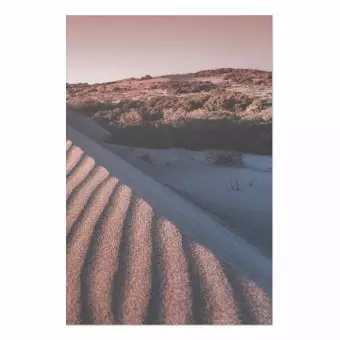 Wall Poster Pink Sands - desert landscape and plants in an orange composition