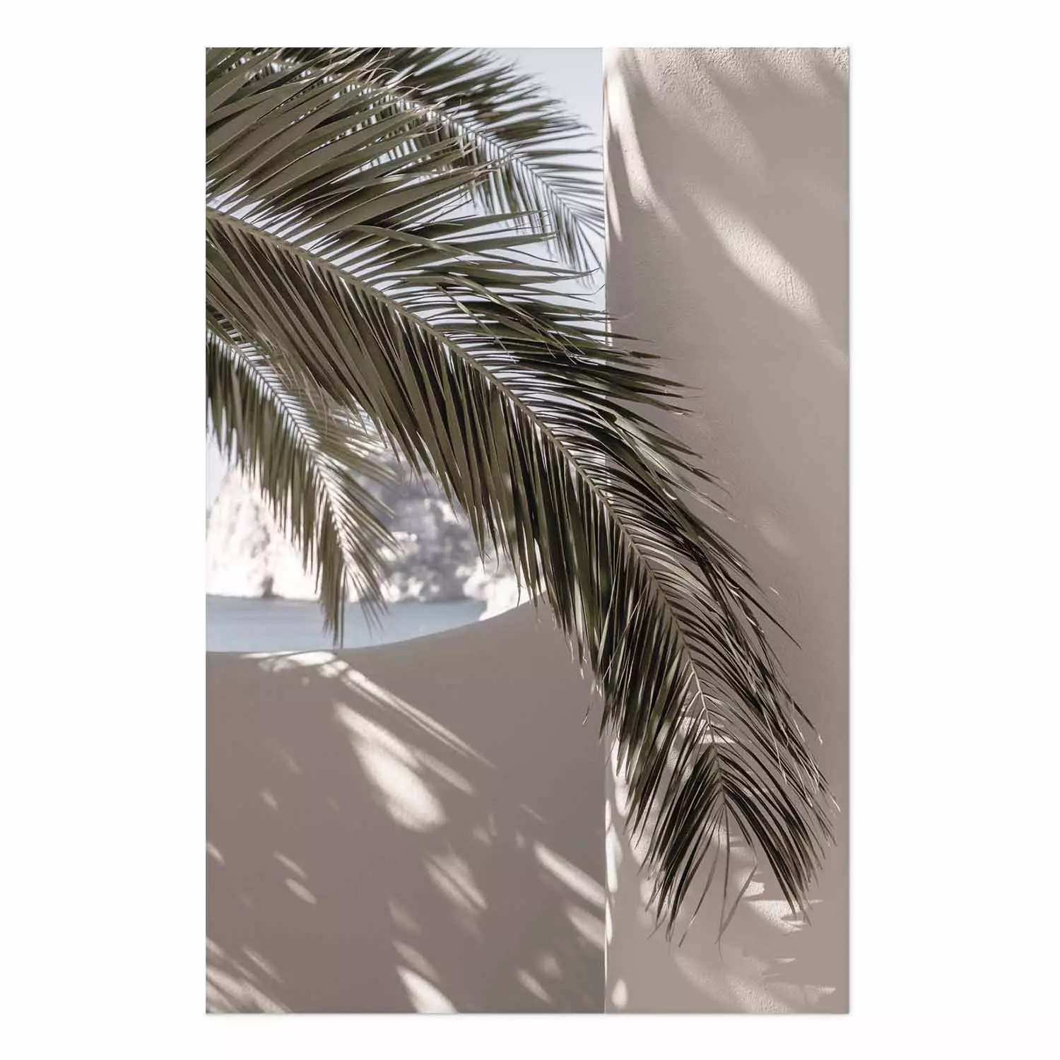 Poster Terrace with a View - natural composition of palm tree against a light wall