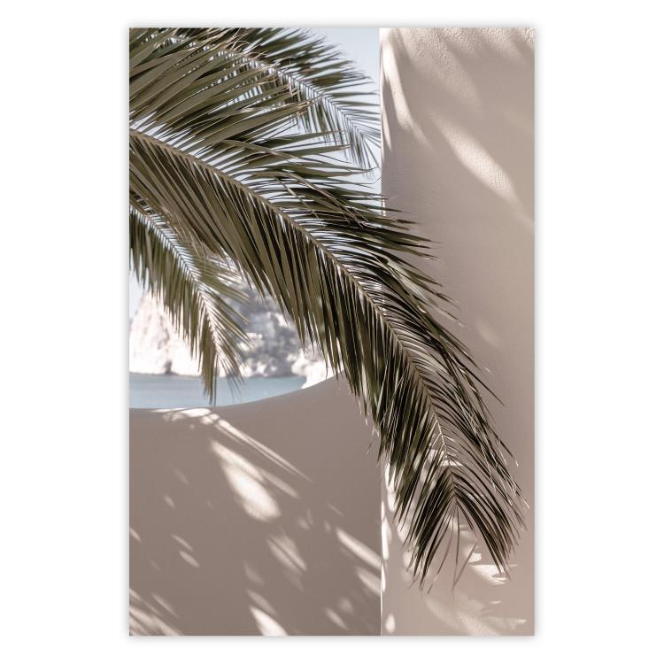 Poster Terrace with a View - natural composition of palm tree against a light wall