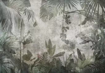 Wall Mural Rain Forest in the Fog Wallpaper Cropper