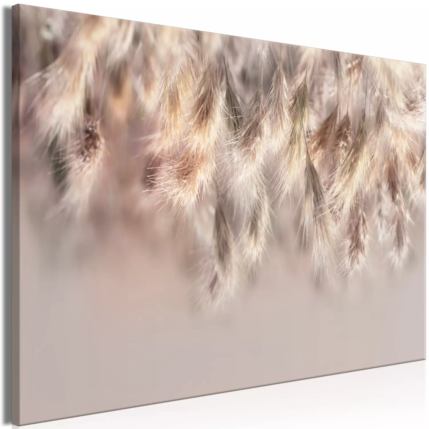 Large canvas print Height of Summer - Close-up of golden-colored grass blades on a light background