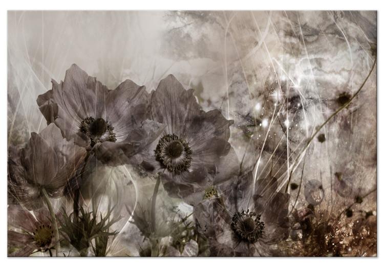 Large canvas print Anemones in Sepia [Large Format]