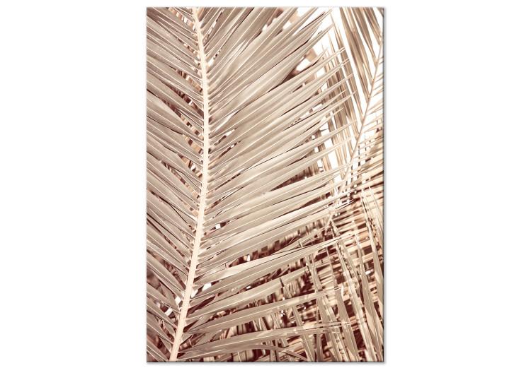 Canvas Dried palm - sharp, dry palm leaves on a white background