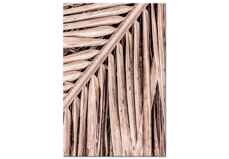Canvas Dry palm - dried palm leaf set under a sharp angle
