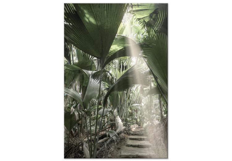 Canvas Bundle of Light (1-piece) Vertical - tropical vegetation landscape