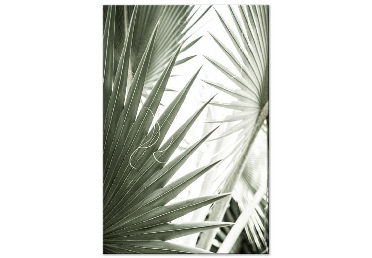 Canvas Plant needles - image of sharp exotic plants in cold green