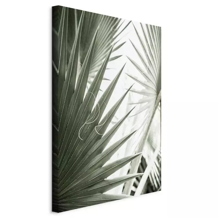 Plant needles - image of sharp exotic plants in cold green