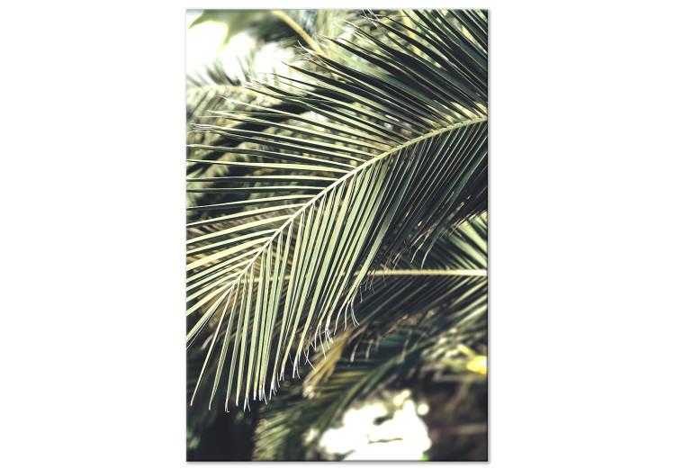 Canvas Green Queen (1-piece) Vertical - exotic palm leaf landscape