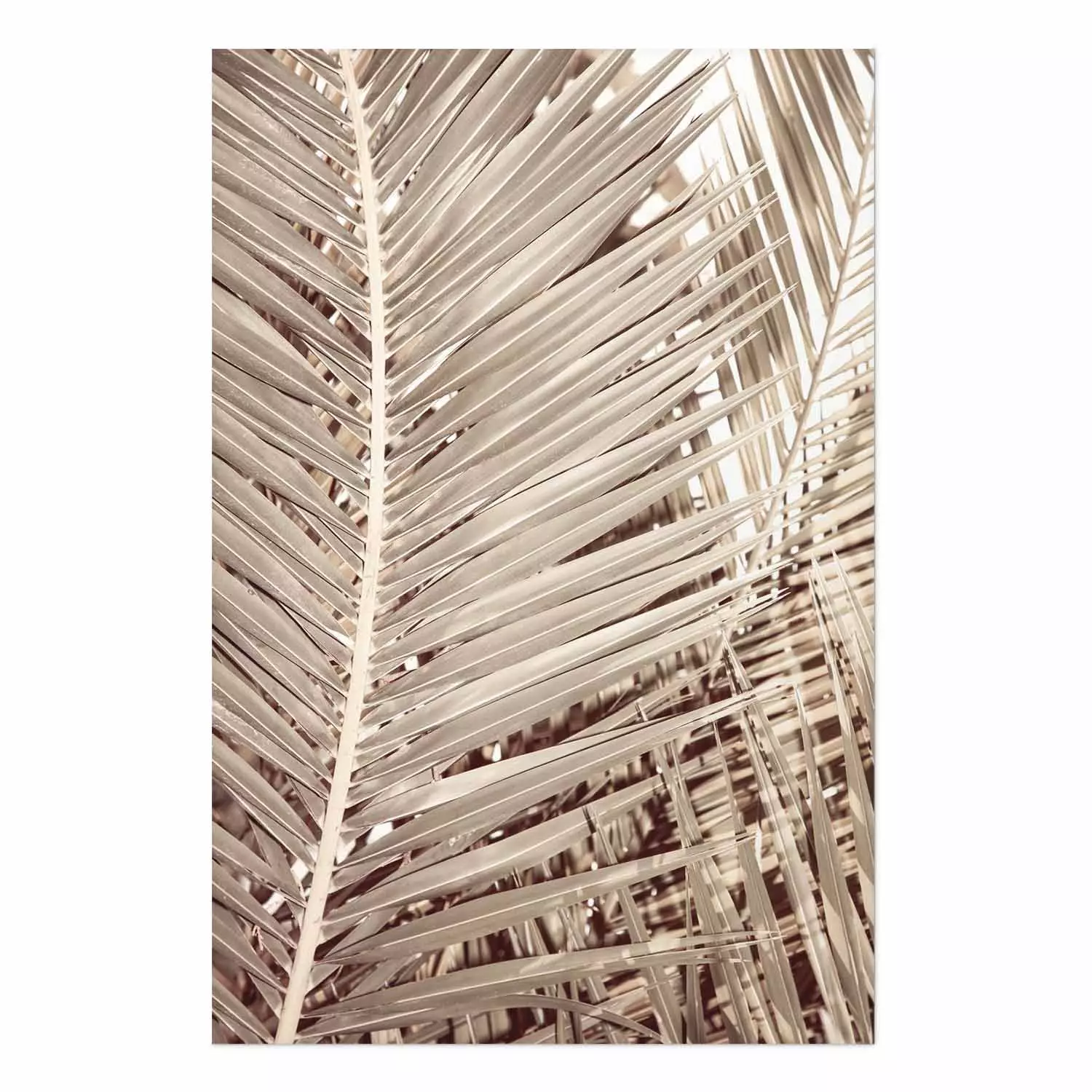 Wall Poster Beige Palm - composition of tropical palm leaves in golden hue