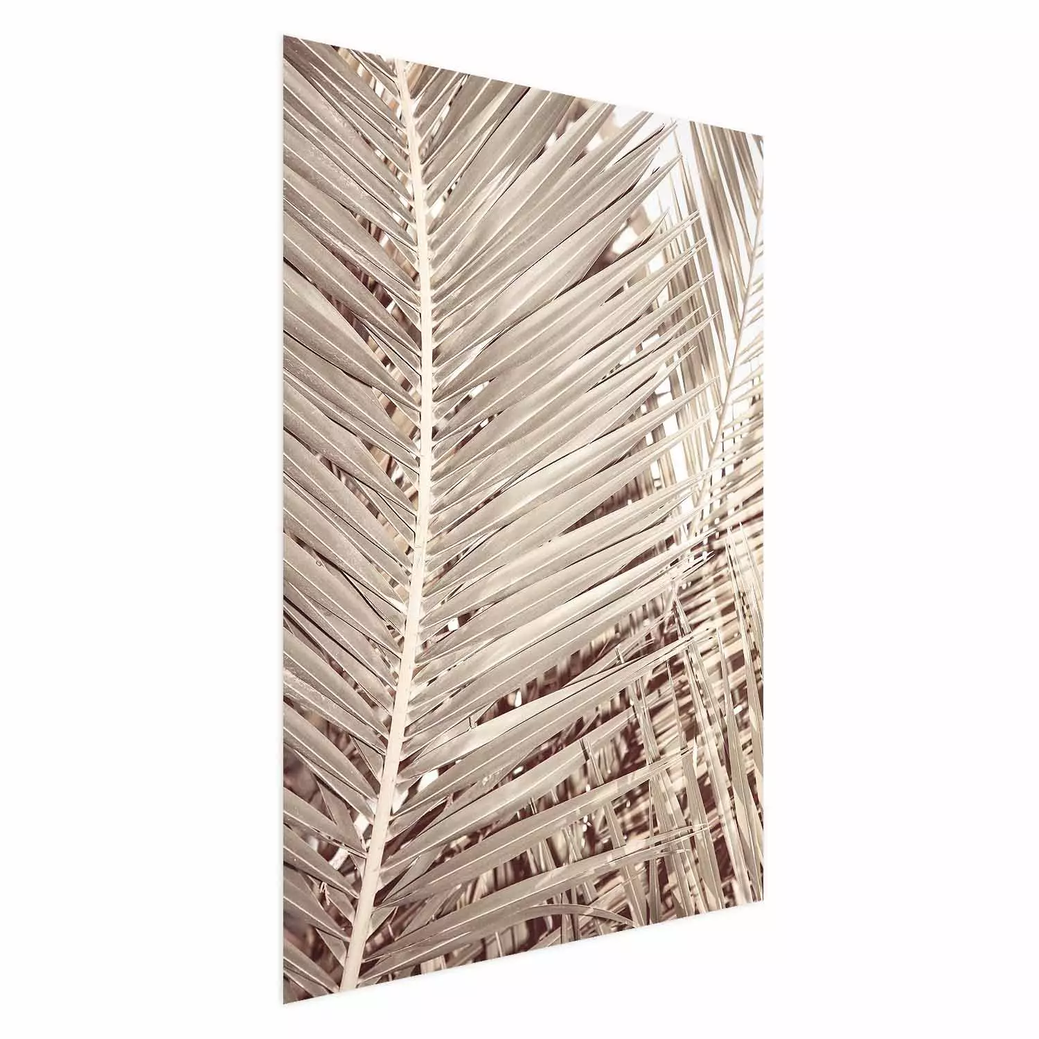 Wall Poster Beige Palm - composition of tropical palm leaves in golden hue